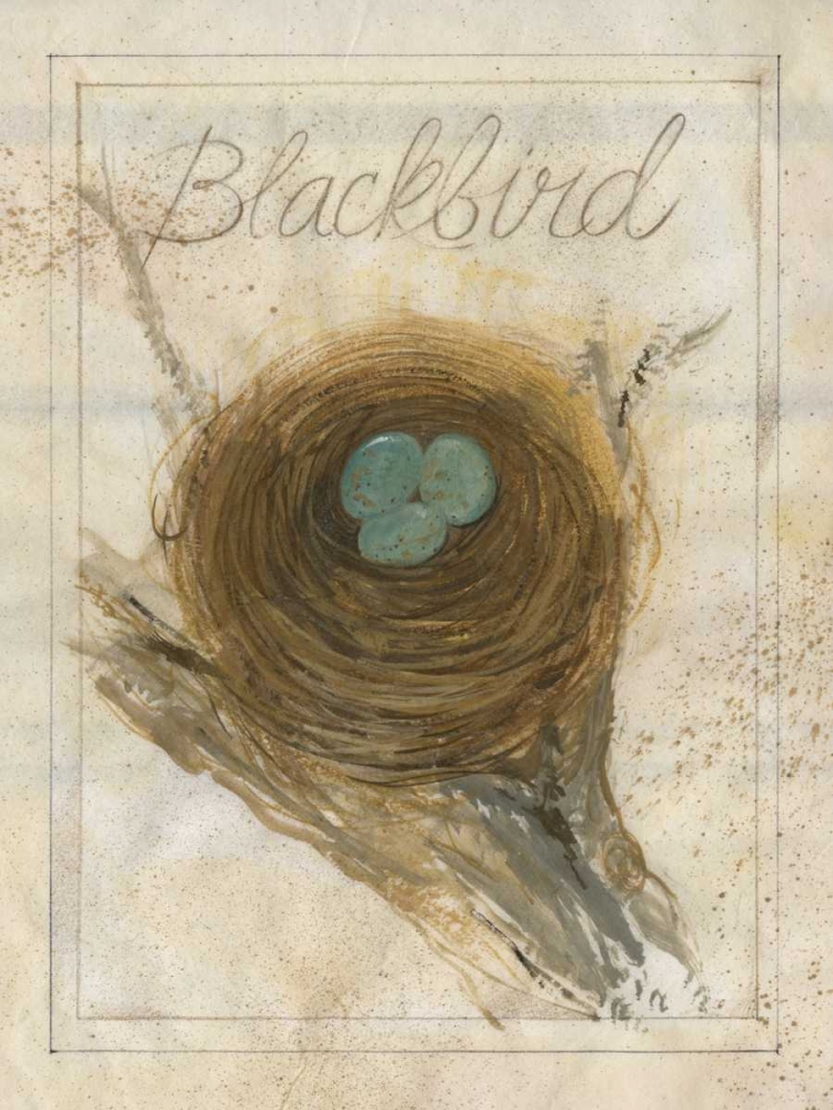 Art Print: Nest - Blackbird