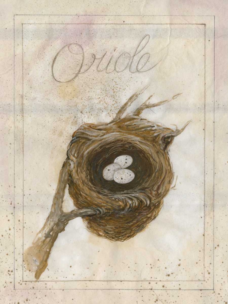 Art Print: Nest - Oriole