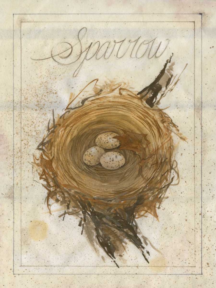 Art Print: Nest - Sparrow