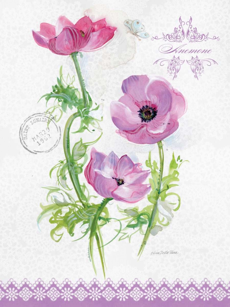 Art Print: Flower Study on Lace I