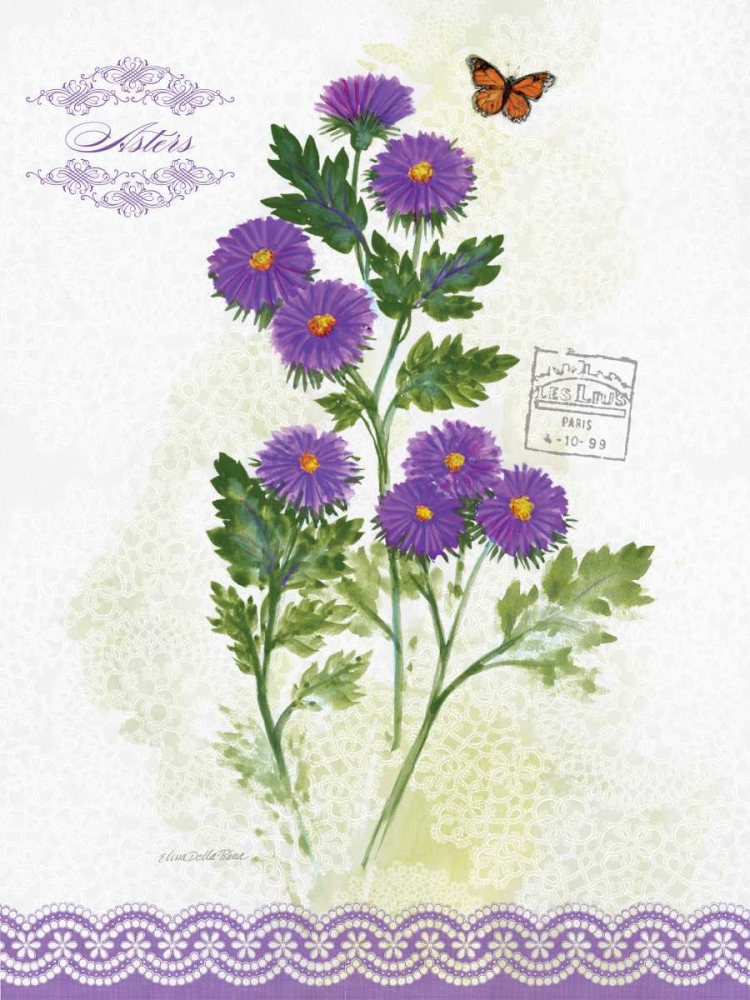 Wall Art Painting id:76743, Name: Flower Study on Lace II, Artist: Della-Piana, Elissa