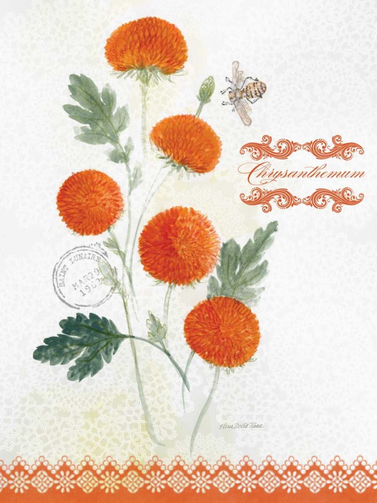 Wall Art Painting id:76745, Name: Flower Study on Lace IV, Artist: Della-Piana, Elissa