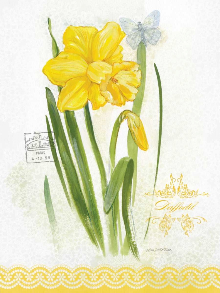 Wall Art Painting id:76746, Name: Flower Study on Lace V, Artist: Della-Piana, Elissa