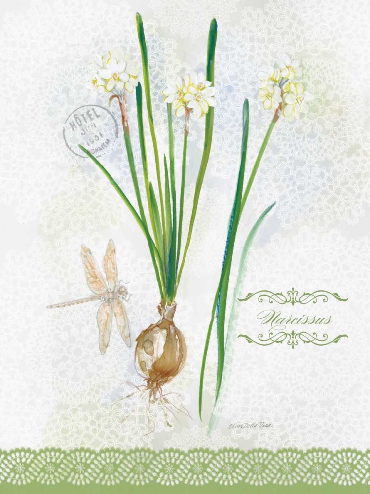 Art Print: Flower Study on Lace XII