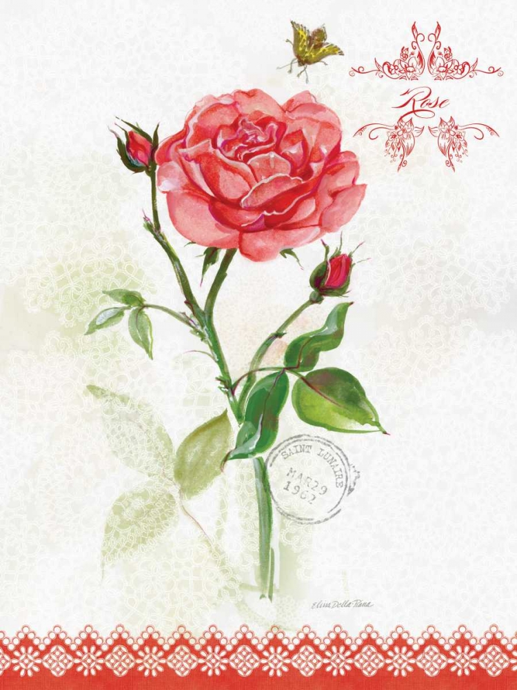 Art Print: Flower Study on Lace XIII