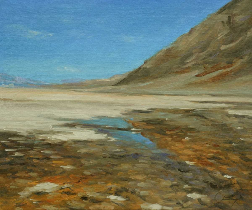 Wall Art Painting id:76776, Name: Badwater Basin, Death Valley, Artist: Larivey, Chuck