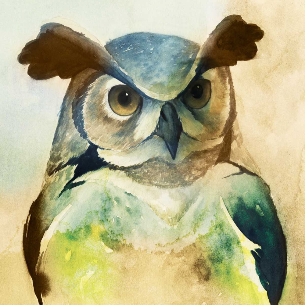 Wall art: Harlequin Hibou II, by Popp, Grace