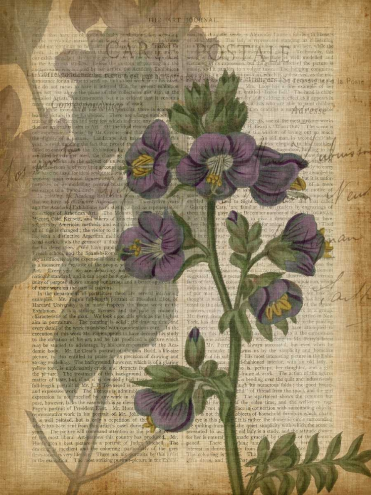 Wall Art Painting id:77119, Name: Fuchsia Flowers I, Artist: Studio W