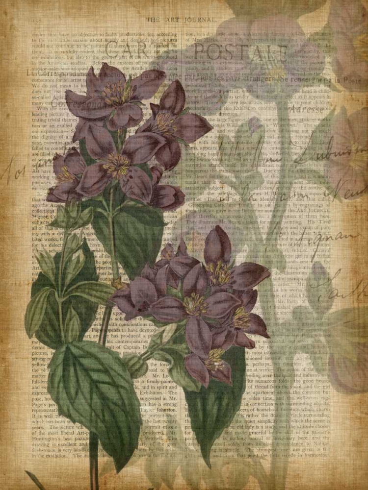 Wall Art Painting id:77120, Name: Fuchsia Flowers II, Artist: Studio W
