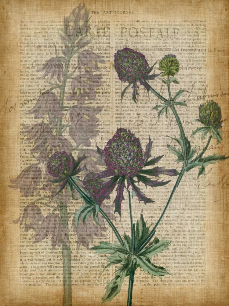 Wall Art Painting id:77121, Name: Fuchsia Flowers III, Artist: Studio W