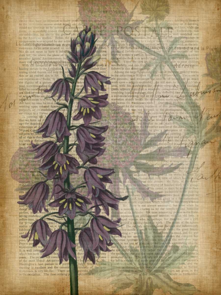 Wall Art Painting id:77122, Name: Fuchsia Flowers IV, Artist: Studio W