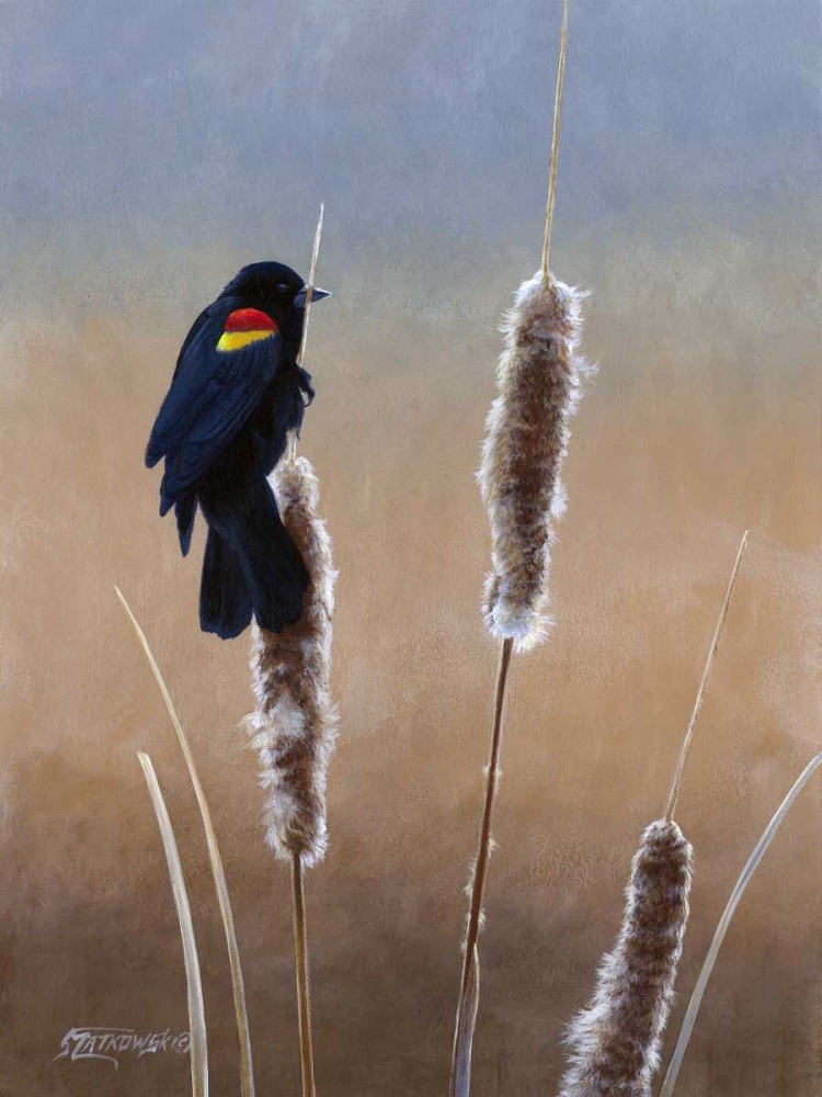 Art Print: Redwing Morning I