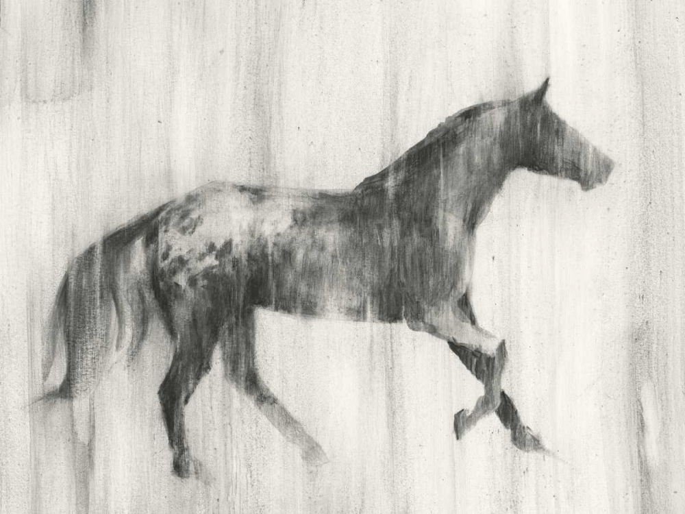 Wall art: Appaloosa Study I, by Harper, Ethan
