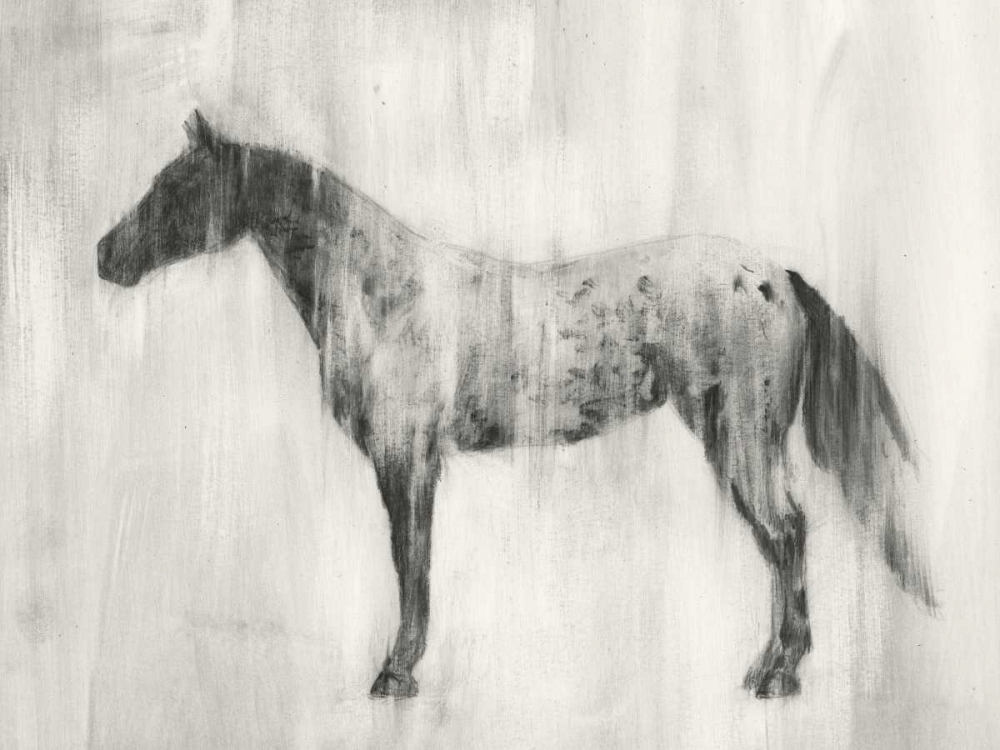 Wall art: Appaloosa Study II, by Harper, Ethan