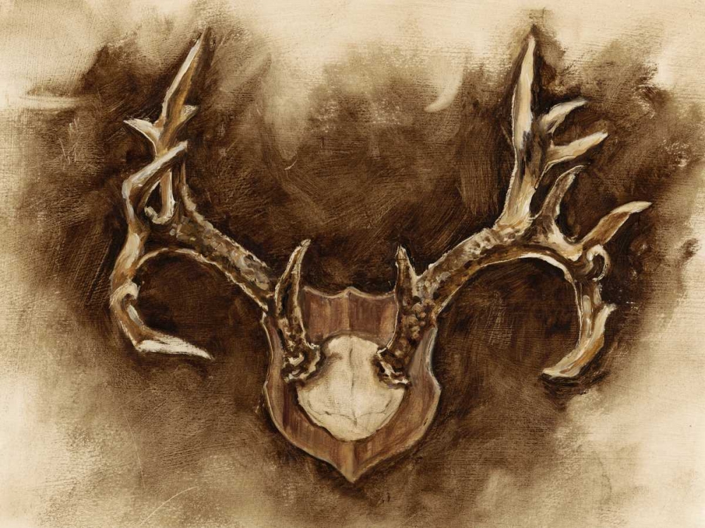 Wall art: Rustic Antler Mount I, by Harper, Ethan