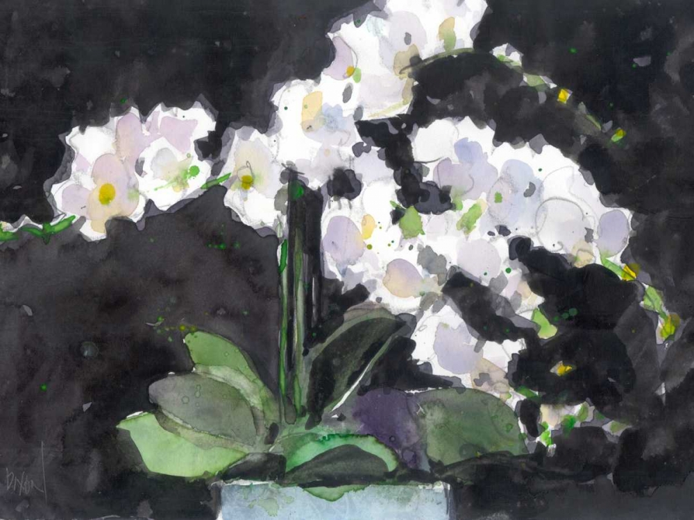 Wall Art Painting id:83742, Name: Something Floral VII, Artist: Dixon, Samuel