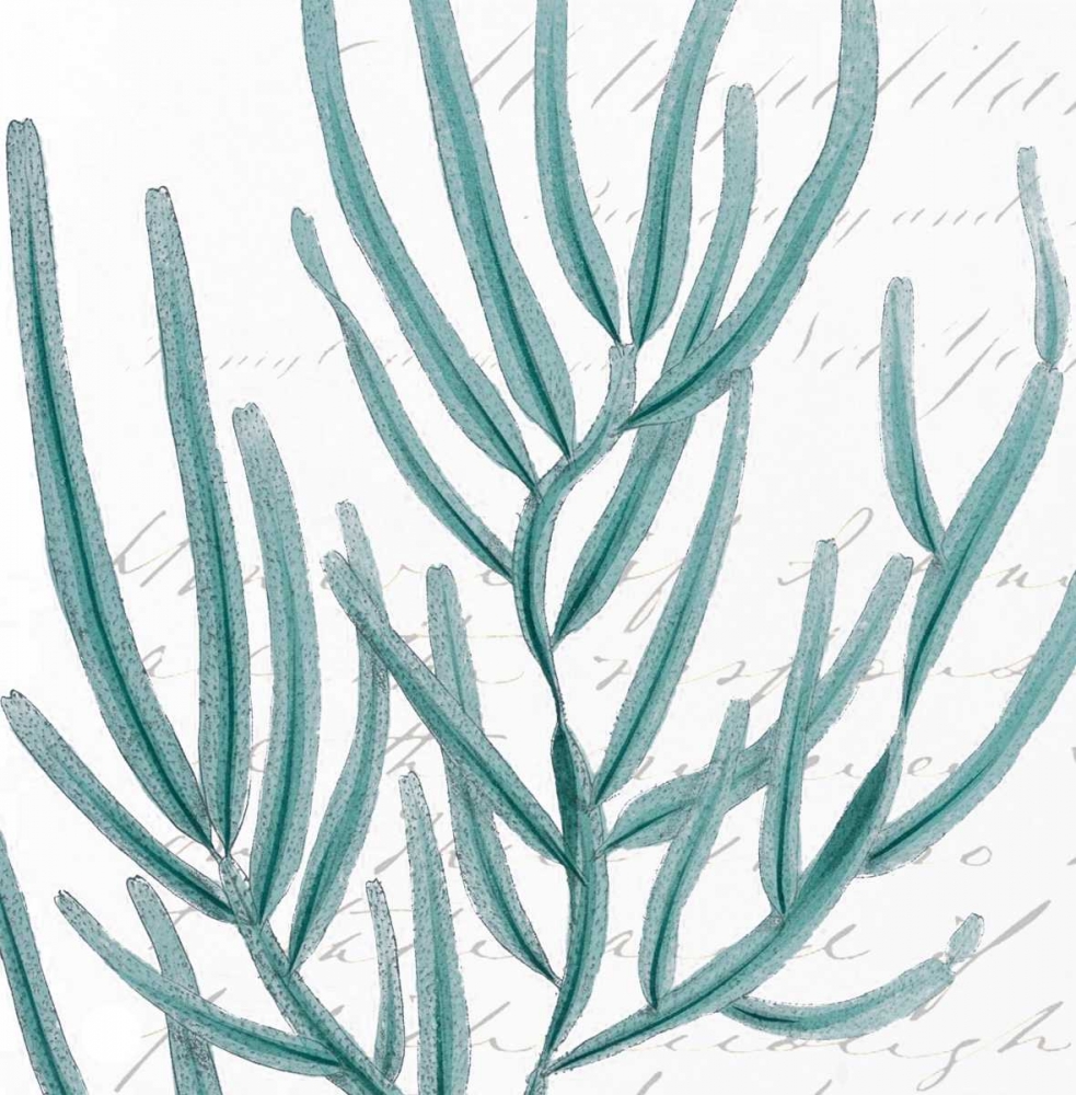 Wall Art Painting id:84272, Name: Aqua Marine I, Artist: Hambly, Anna