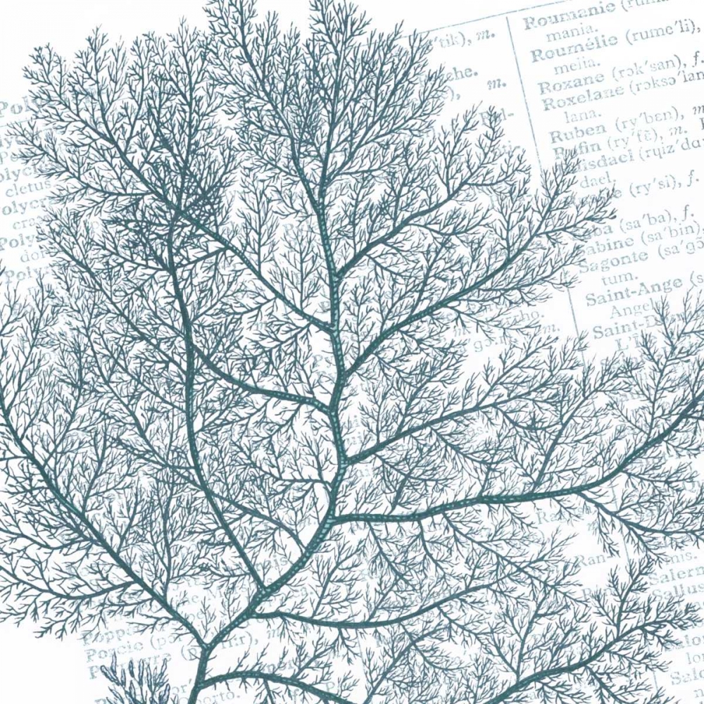 Wall Art Painting id:84273, Name: Aqua Marine II, Artist: Hambly, Anna