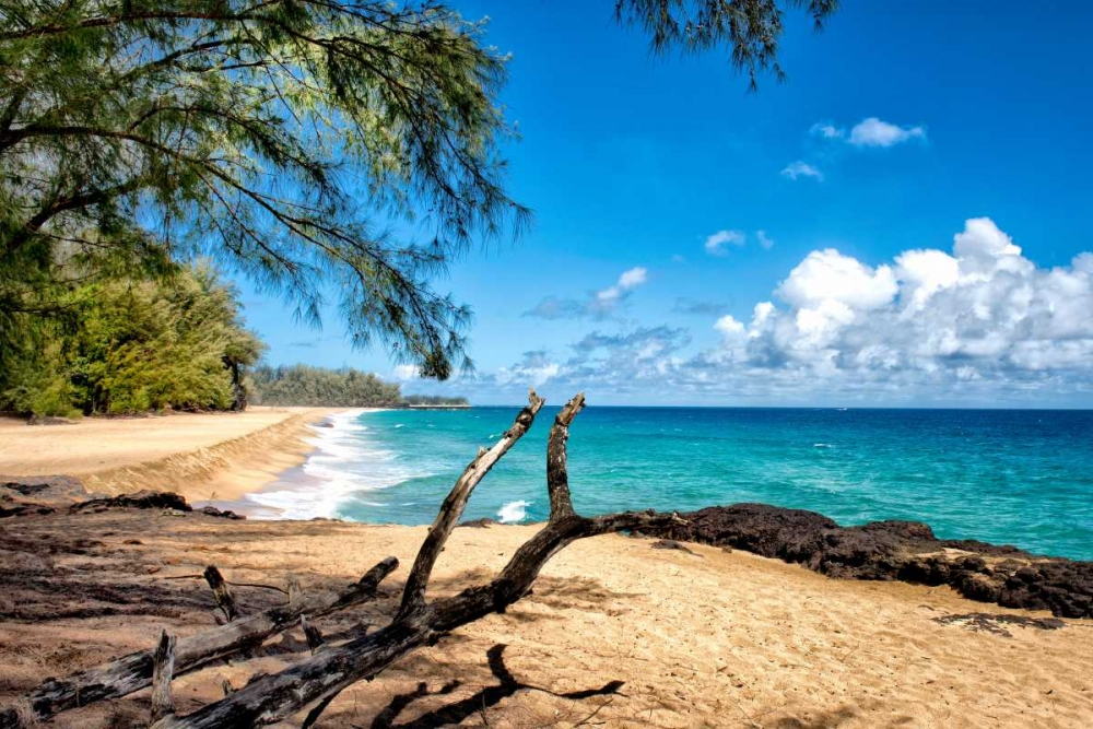 Art Print: Lumahai Beach