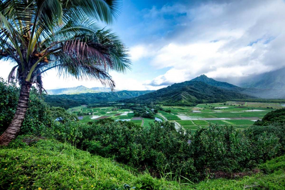 Art Print: Hanalei Valley