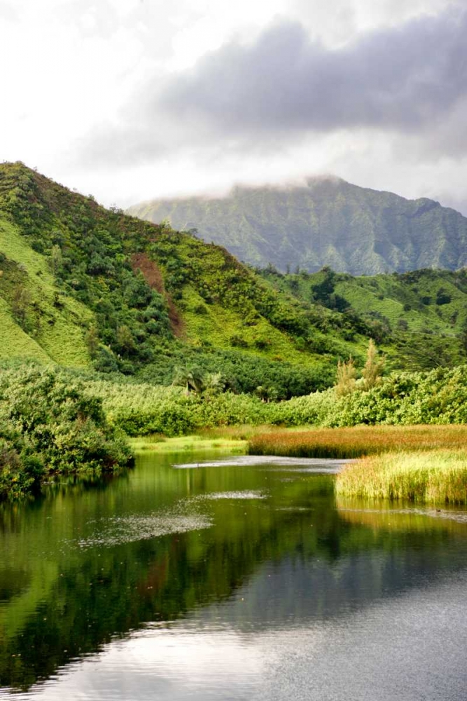 Art Print: Coastal Marsh Triptych I