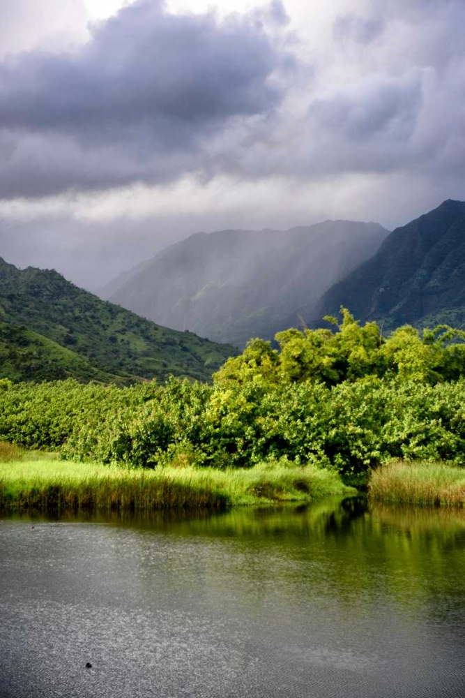 Art Print: Coastal Marsh Triptych III
