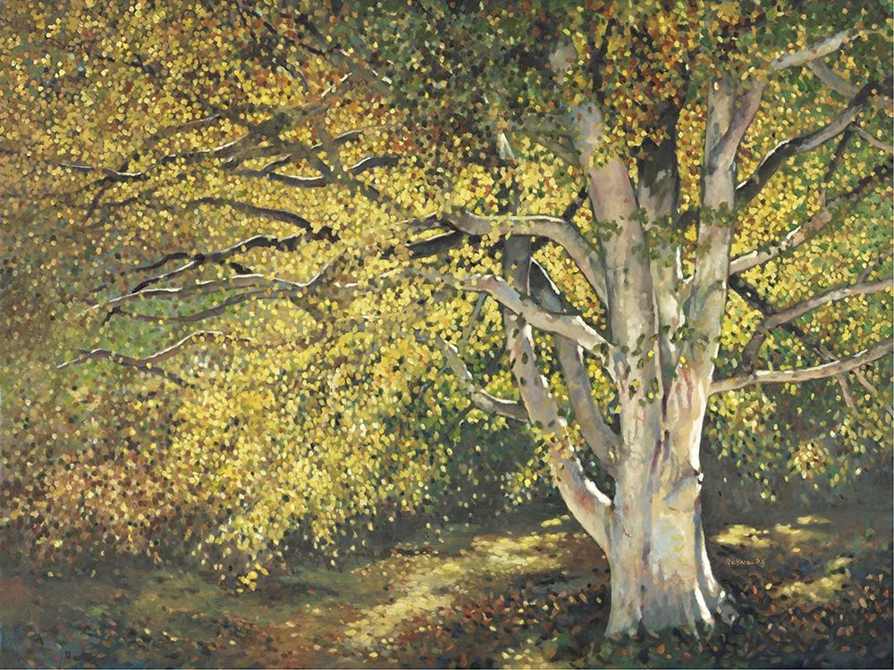 Art Print: Custom Golden Light I (ASH)