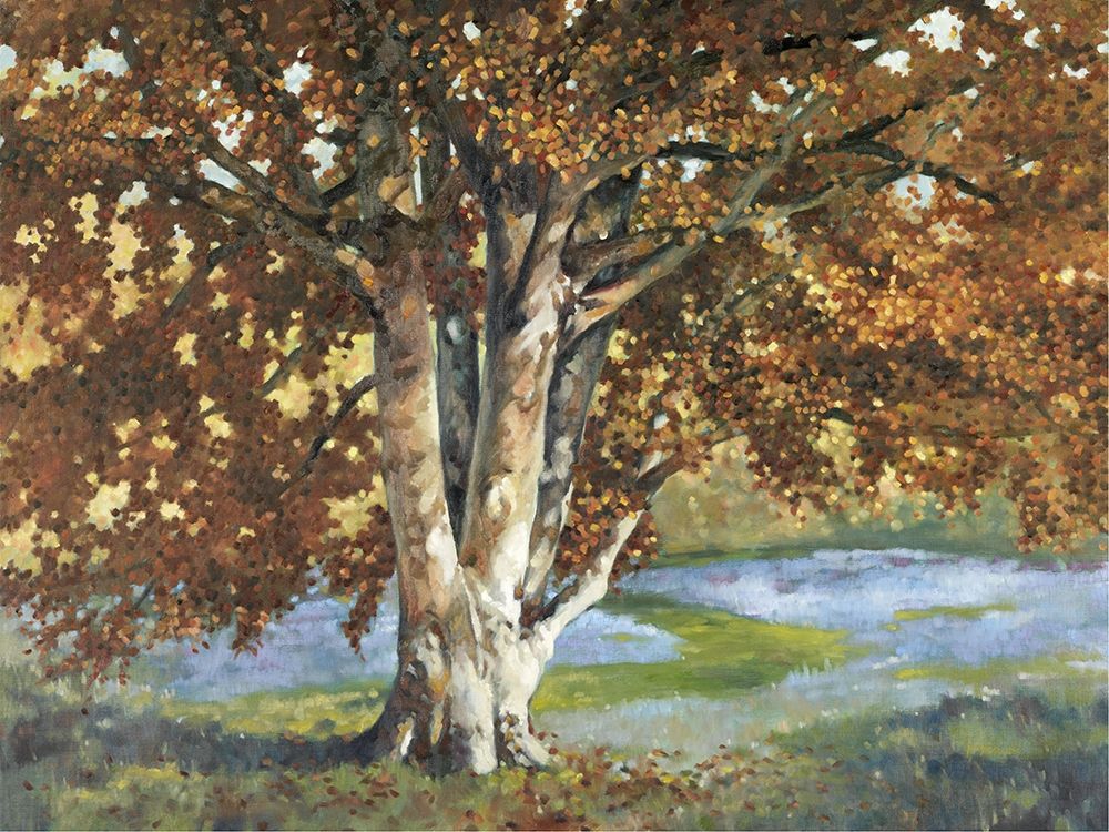 Art Print: Custom Golden Light II (ASH)