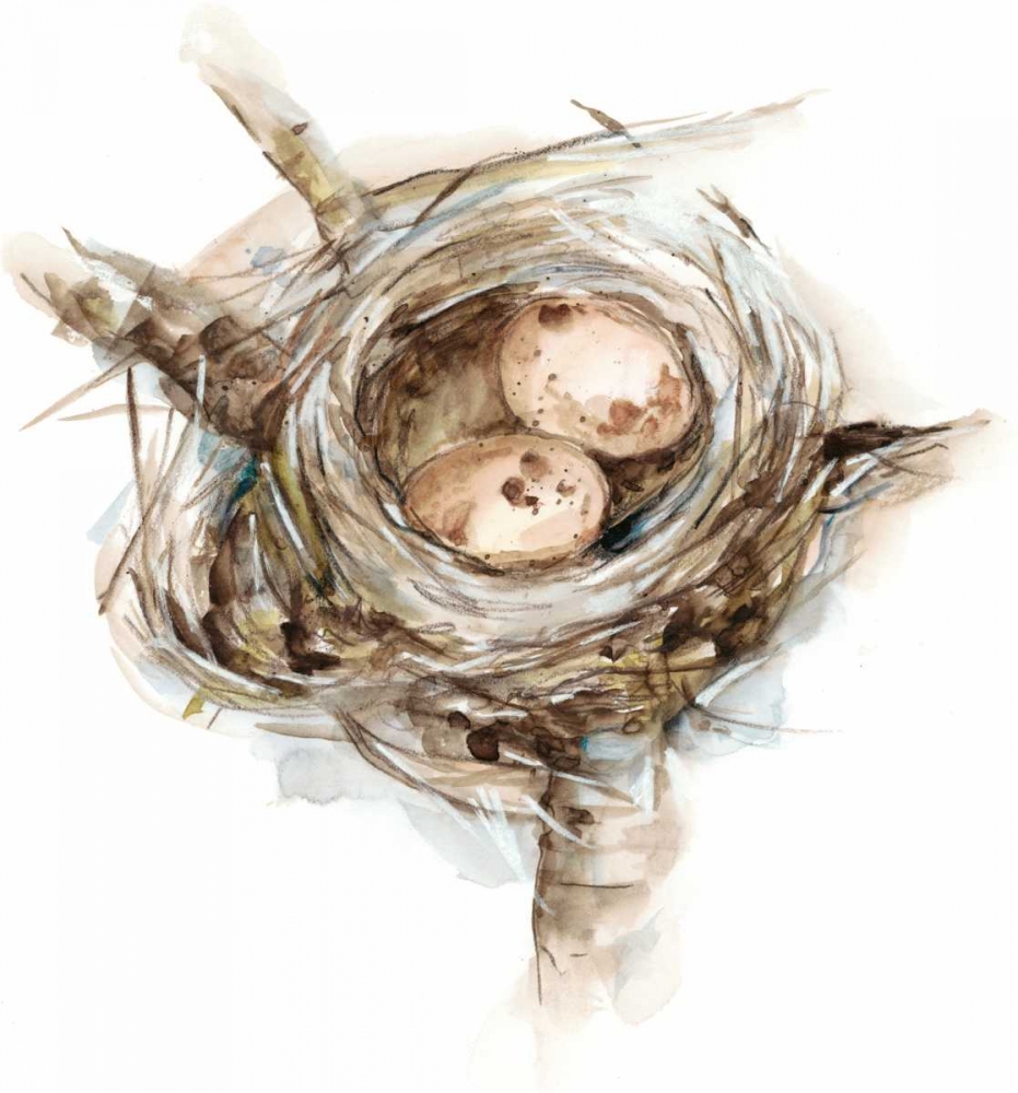 Art Print: Bird Nest Study I