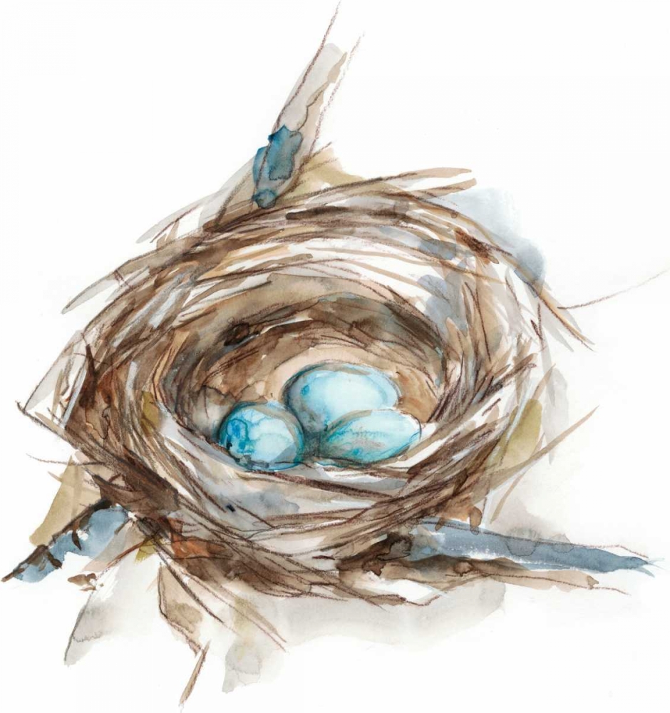 Art Print: Bird Nest Study II