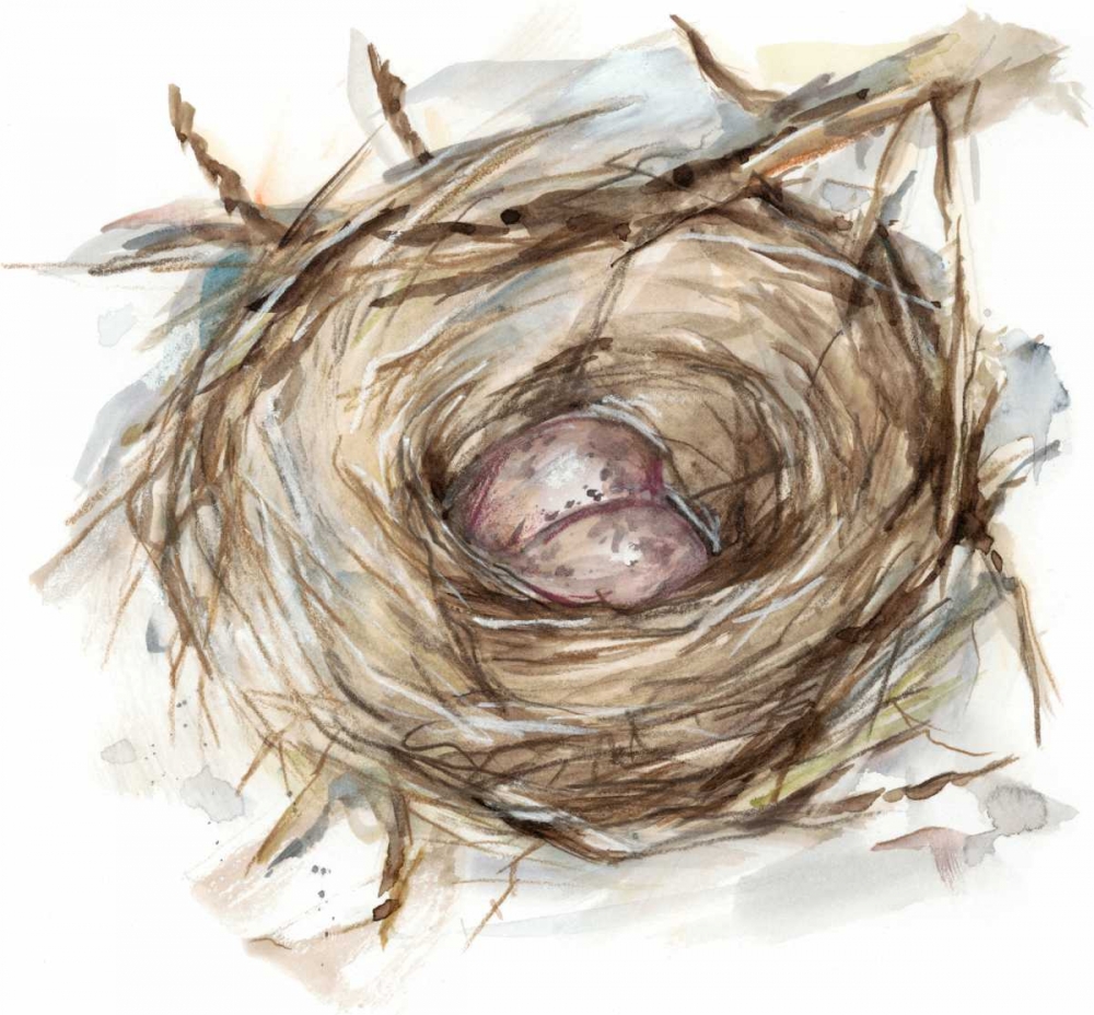 Art Print: Bird Nest Study IV