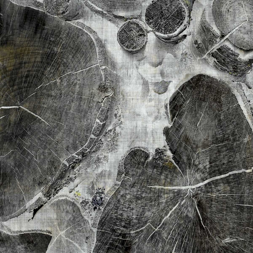 Art Print: Logging I