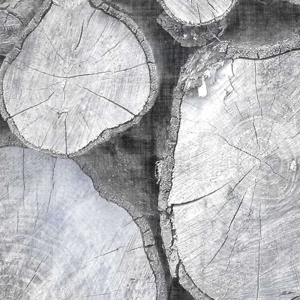 Art Print: Logging Light II