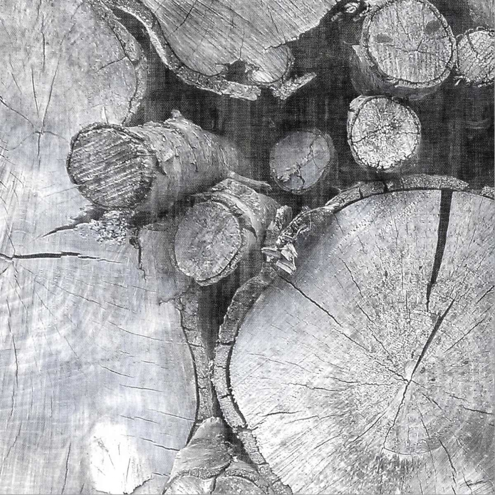 Art Print: Logging Light III