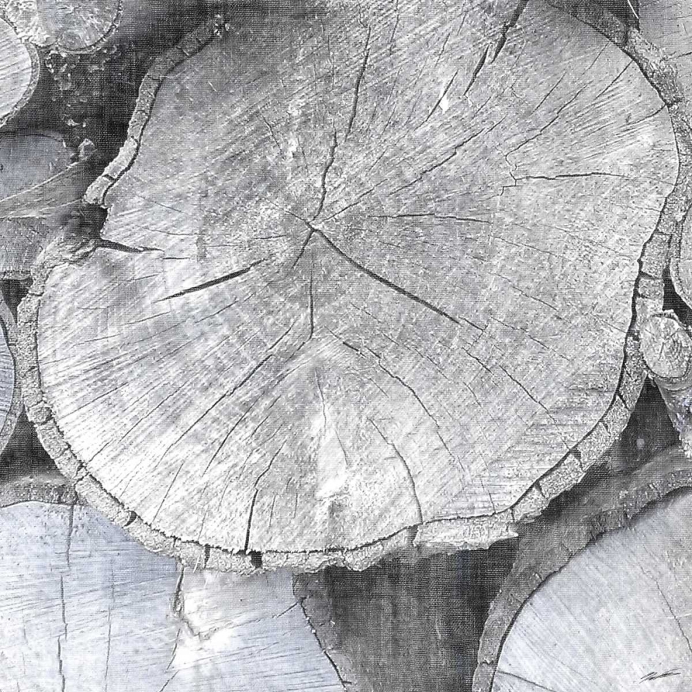 Art Print: Logging Light IV