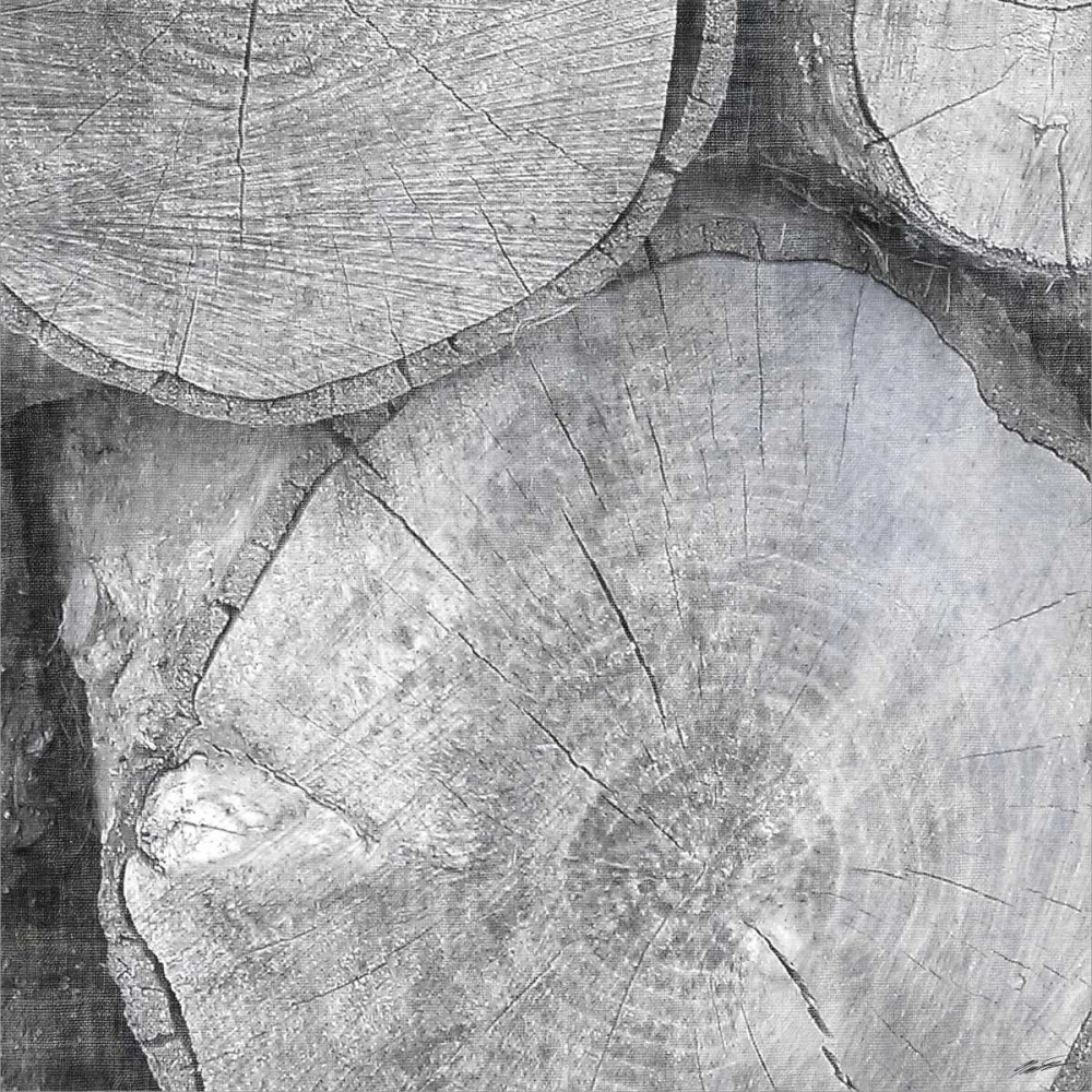 Art Print: Logging Light V