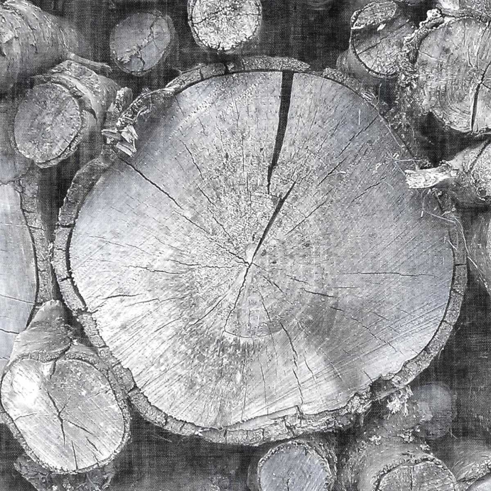 Art Print: Logging Light VI