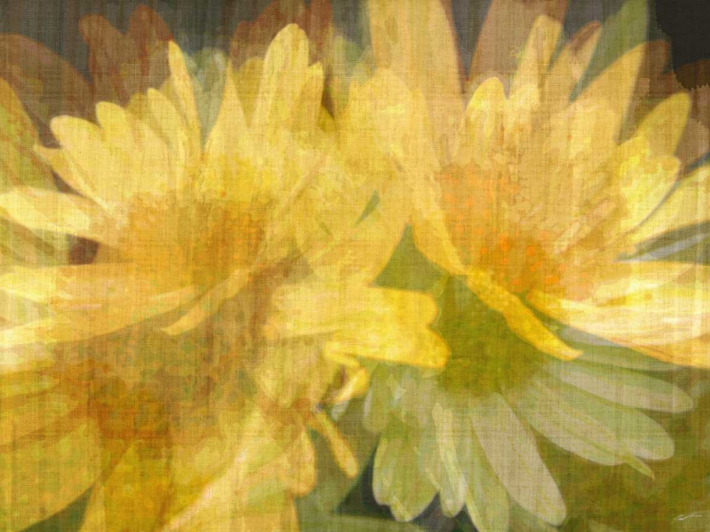 Art Print: Daisy Daisy I