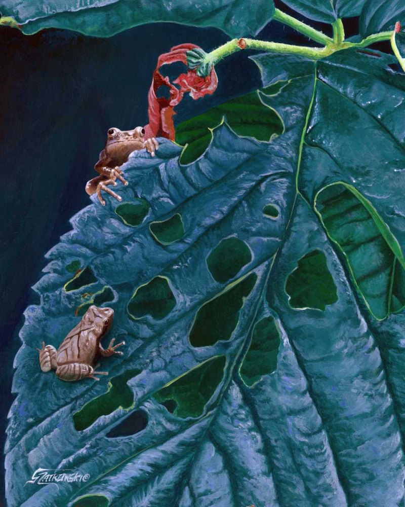 Art Print: Spring Peepers I