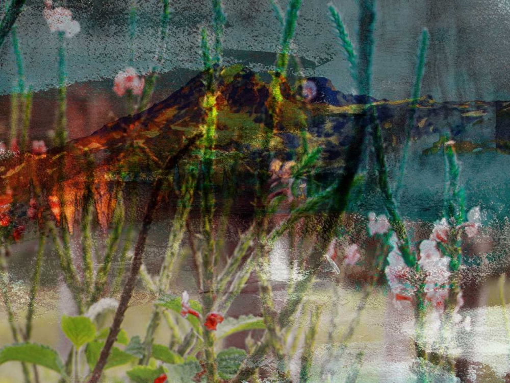 Art Print: Mountain Wildflowers I