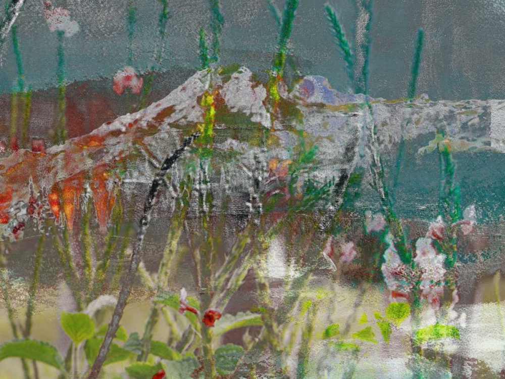 Art Print: Mountain Wildflowers II