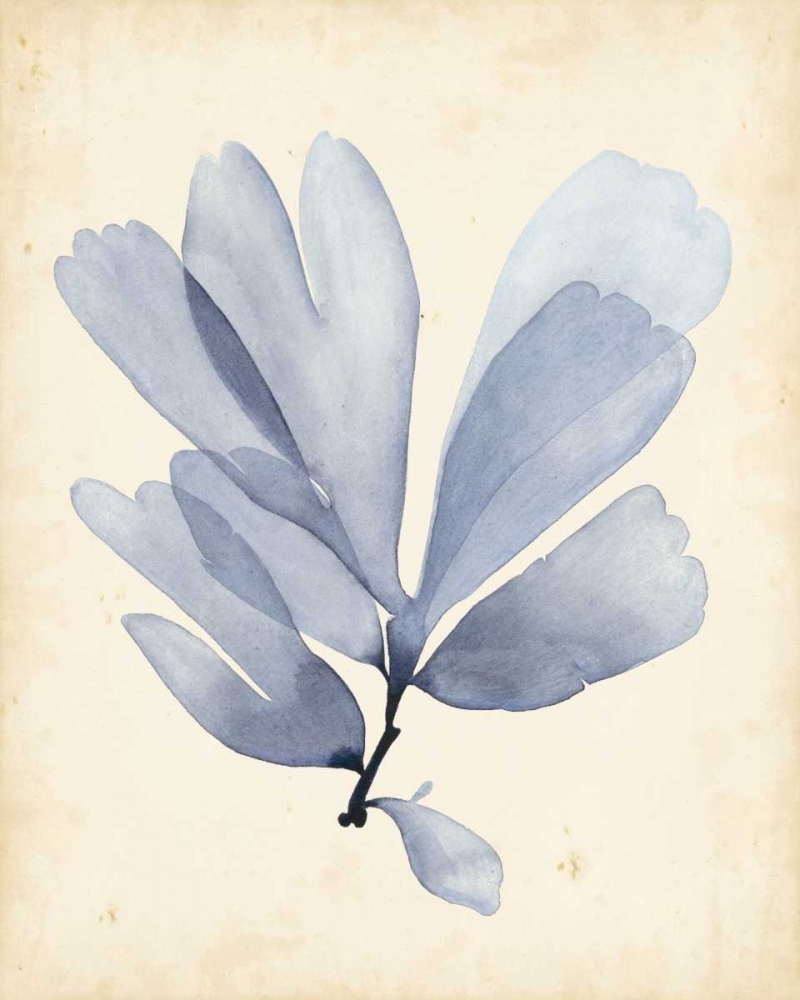 Art Print: Watercolor Sea Grass II