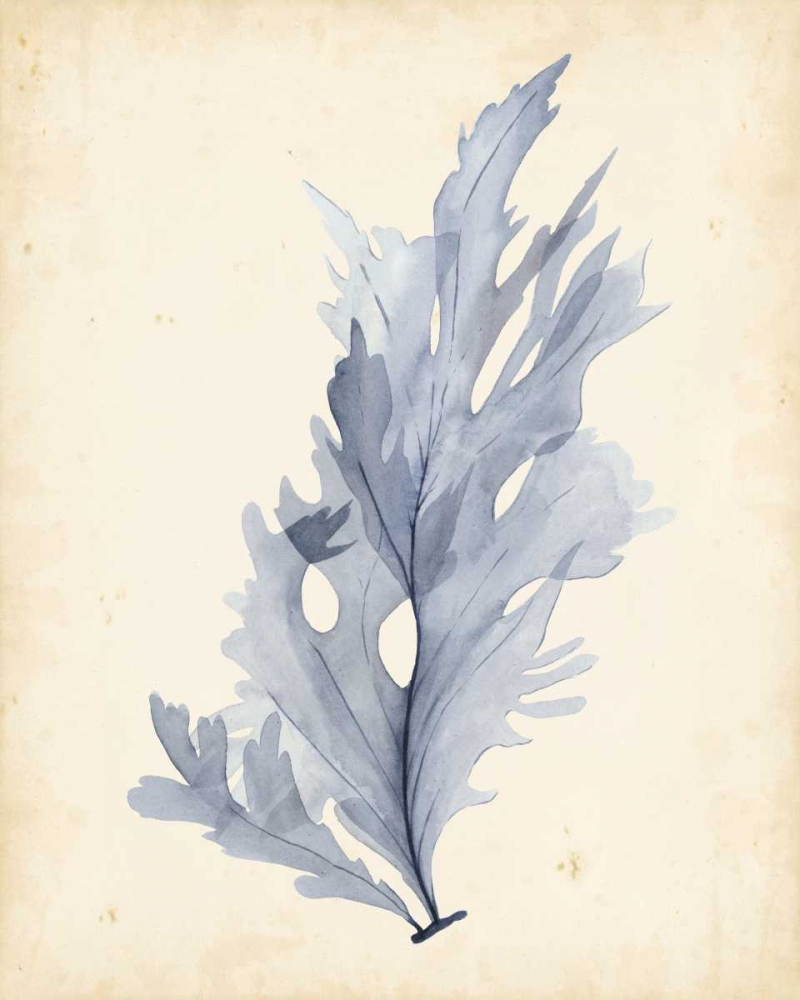 Art Print: Watercolor Sea Grass VI