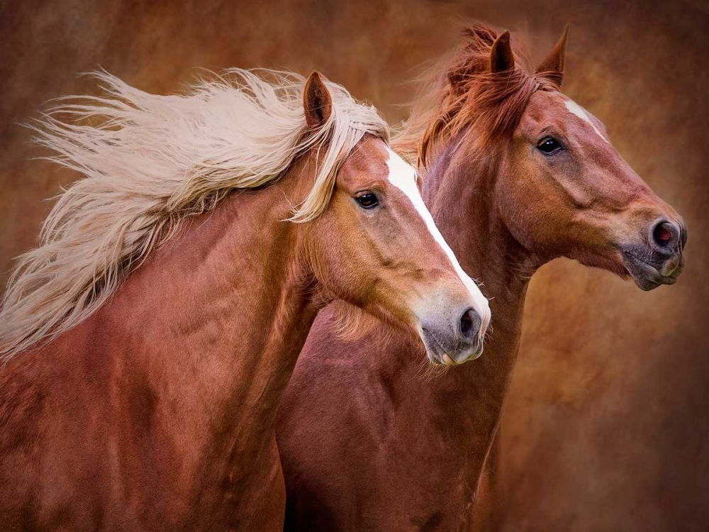 Similar wall art painting: 98667