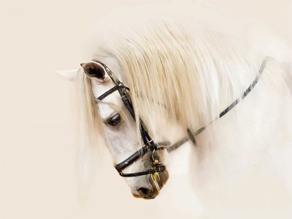 Similar wall art painting: 98668