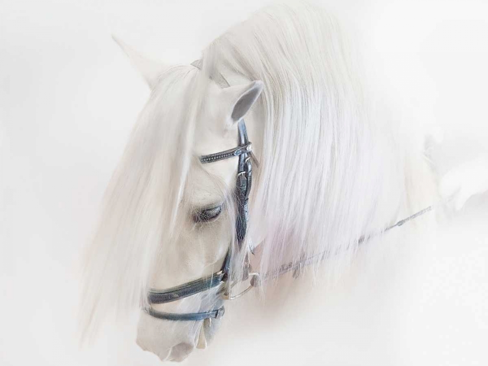 Art Print: Purebred III