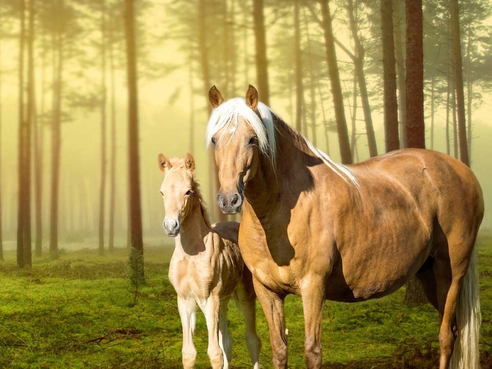 Art Print: Horses in the Field II