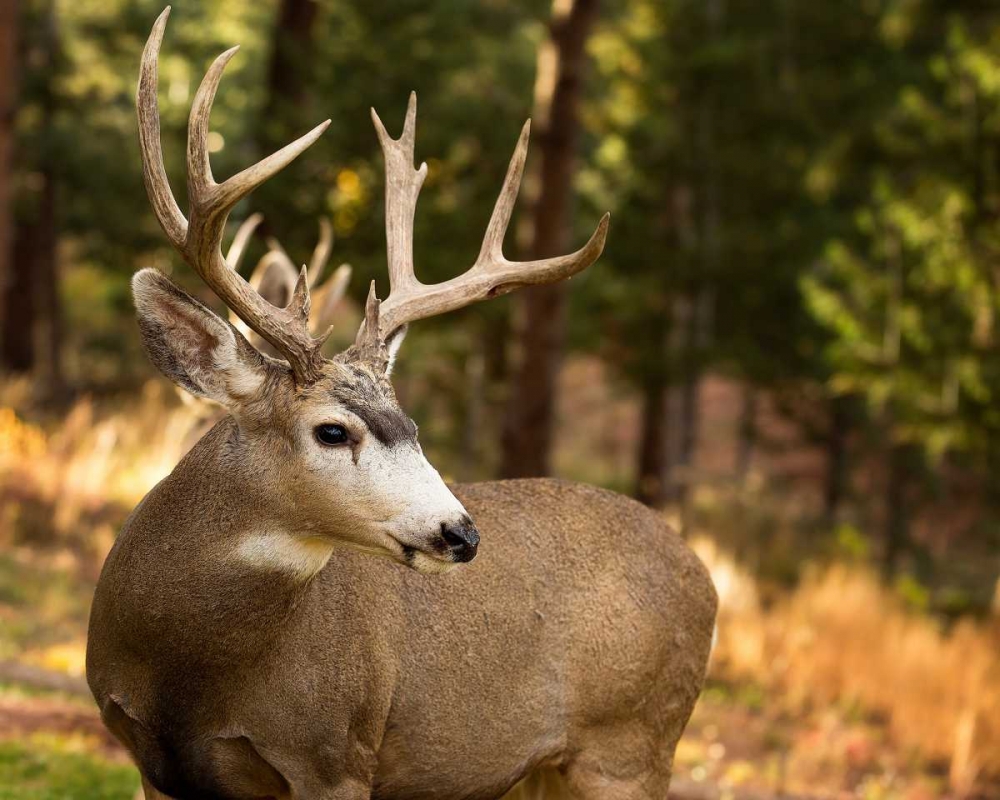 Similar wall art painting: 98688