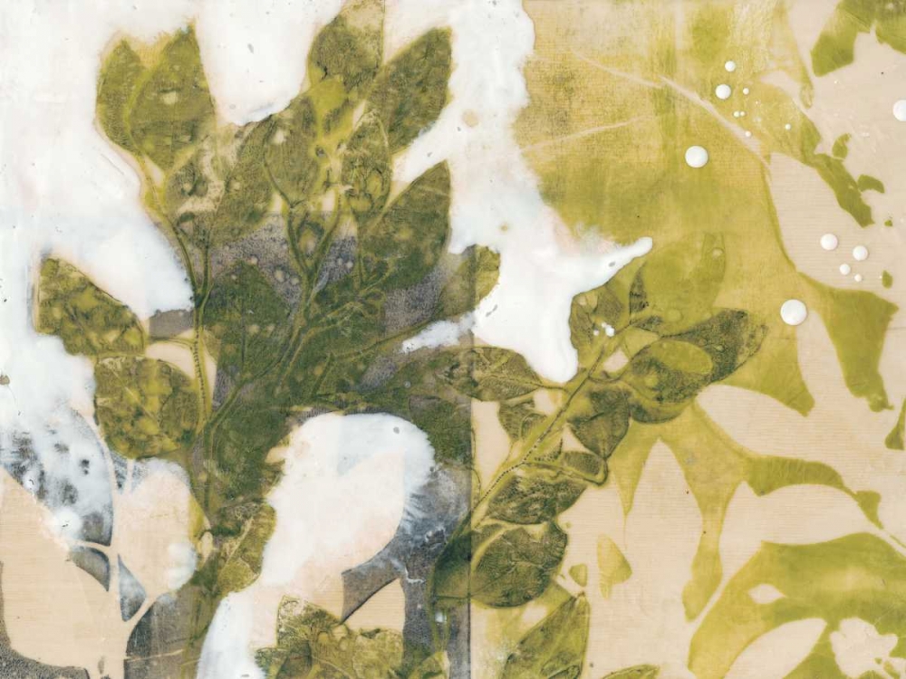 Art Print: Leaf Spray II