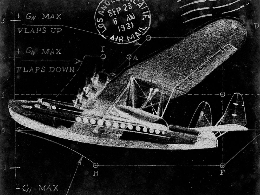 Wall Art Painting id:236485, Name: Flight Schematic III, Artist: Harper, Ethan